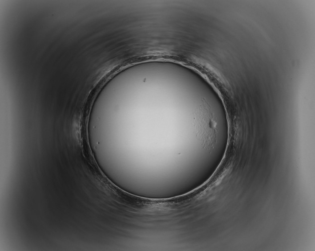 X0000096701162200802191442