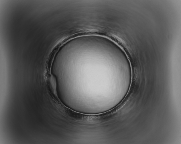 X0000096701163200802191442