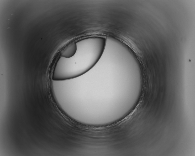 X0000096701164200802191442
