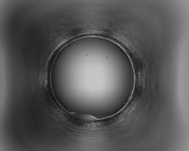 X0000096701165200802191442
