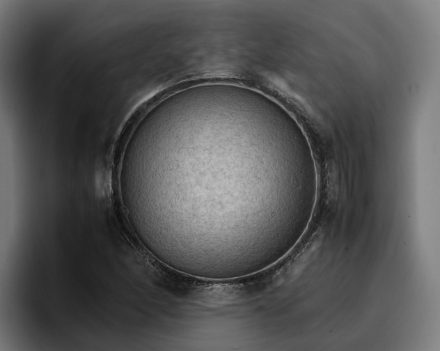 X0000096701166200802191442