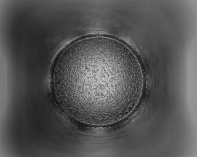 X0000096701167200802191442