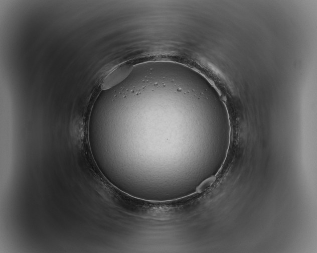 X0000096701169200802191442