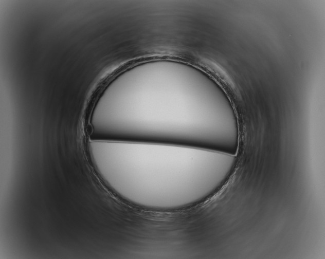 X0000096701172200802191442