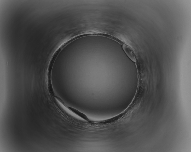 X0000096701173200802191442