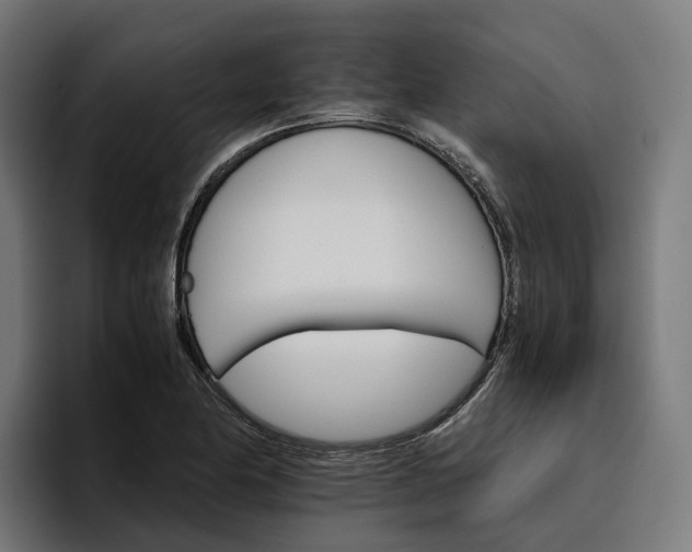 X0000096701174200802191442