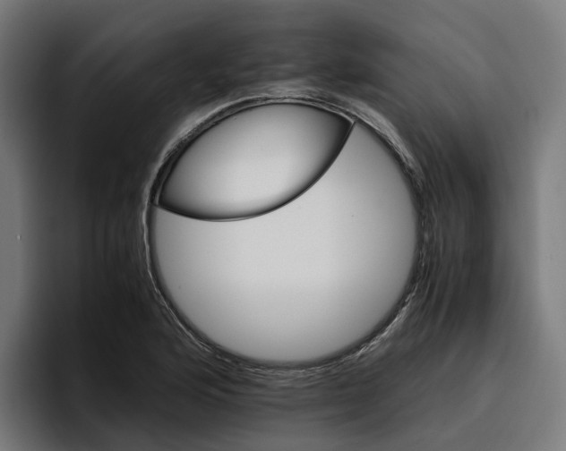 X0000096701176200802191442