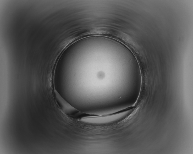 X0000096701177200802191442
