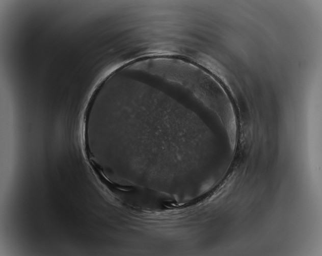 X0000096701179200802191442