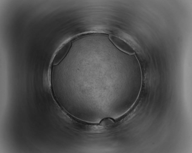 X0000096701180200802191442