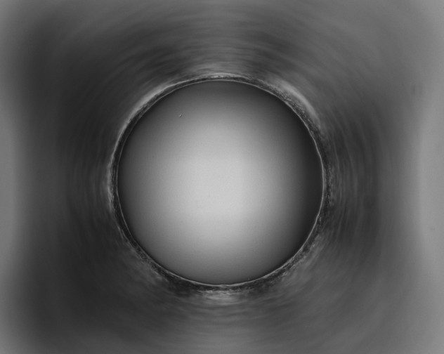 X0000096701182200802191442