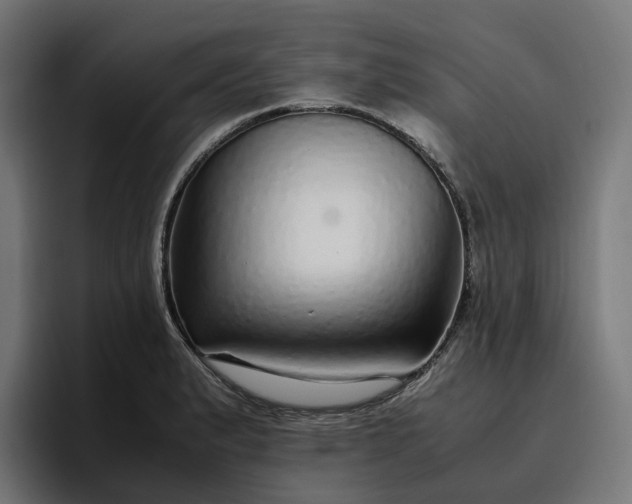 X0000096701183200802191442