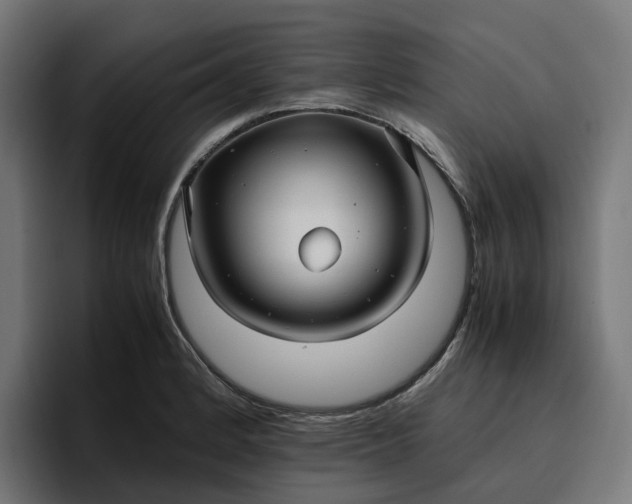 X0000096701184200802191442