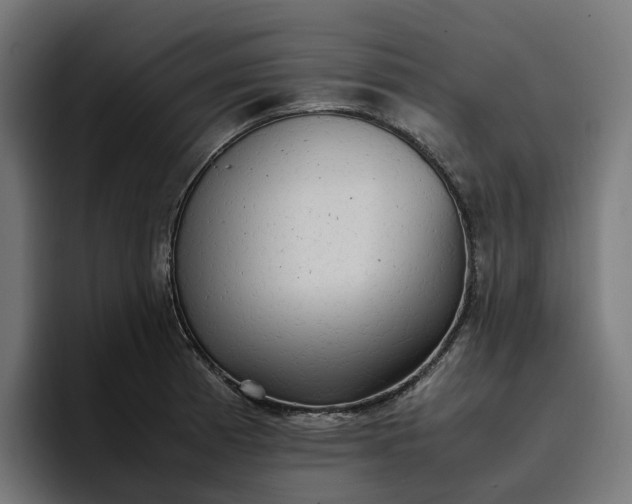 X0000096701185200802191442