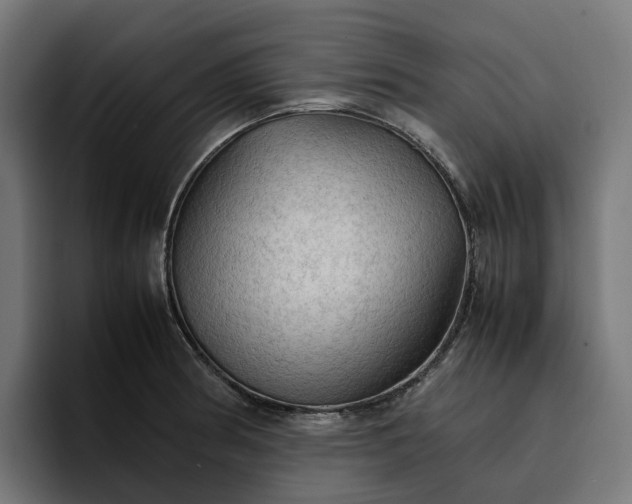 X0000096701186200802191442