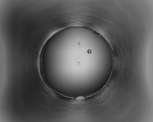 X0000096701187200802191442