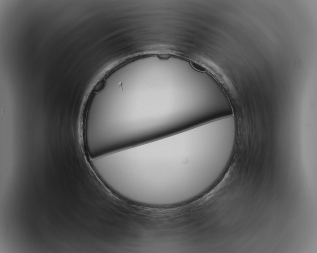 X0000096701188200802191442