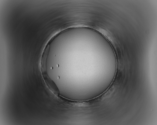 X0000096701189200802191442