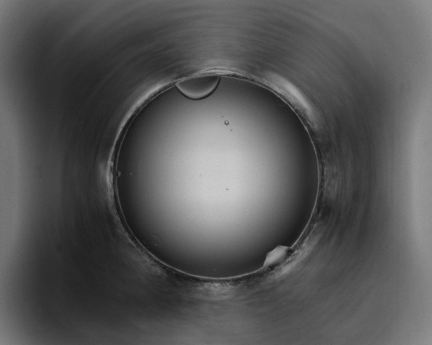 X0000096701190200802191442