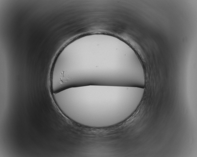 X0000096701191200802191442