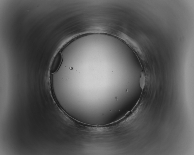 X0000096701192200802191442