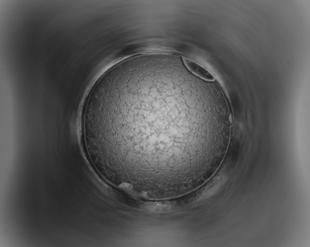 X0000096701195200802191442