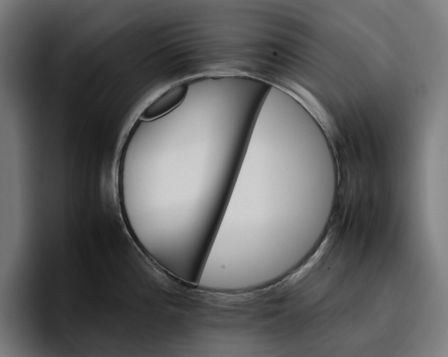 X0000096701196200802191442