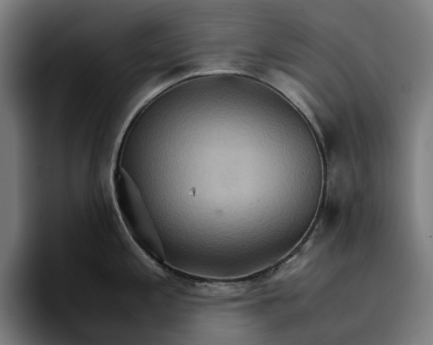 X0000096701197200802191442