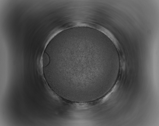 X0000096701198200802191442