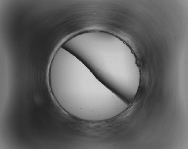 X0000096701199200802191442