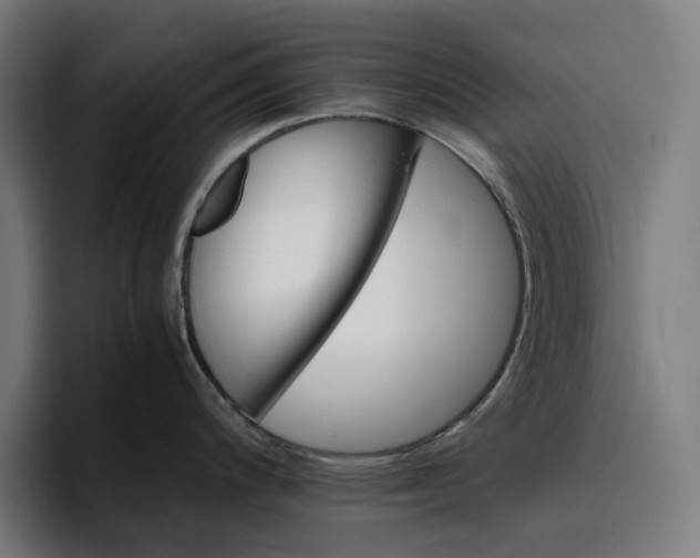 X0000096701200200802191442
