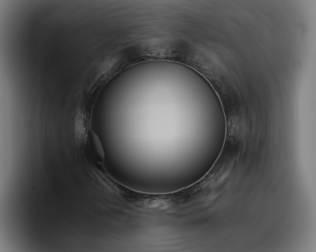 X0000096701202200802191441