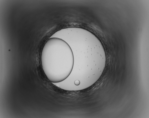 X0000096701205200802191441