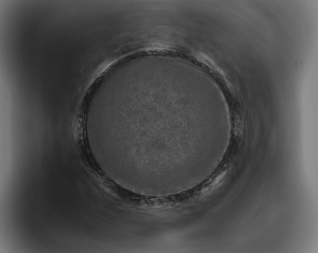 X0000096701208200802191441