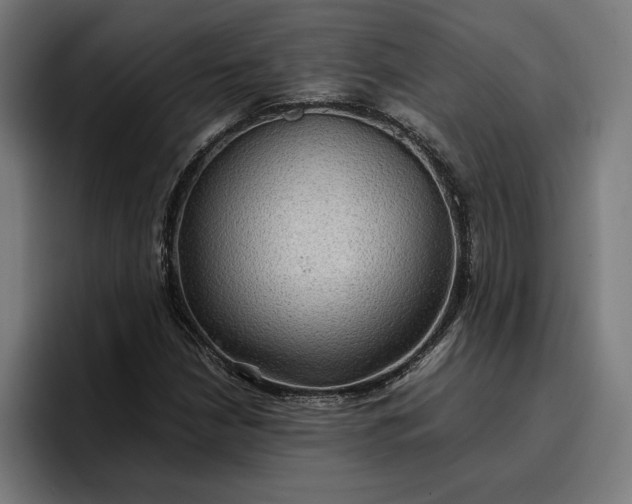X0000096701210200802191441