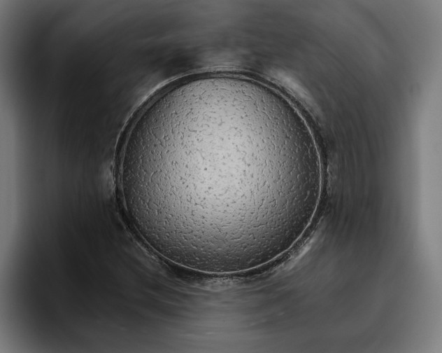 X0000096701212200802191441