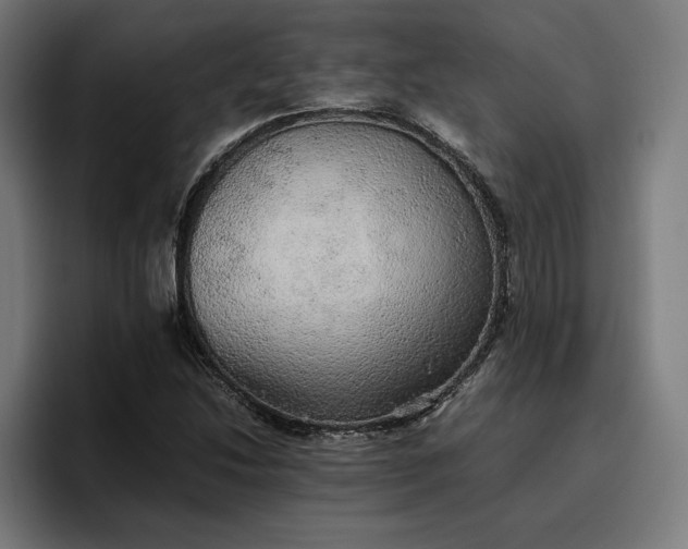 X0000096701214200802191441