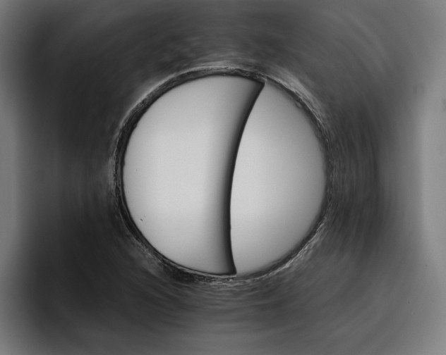 X0000096701216200802191441