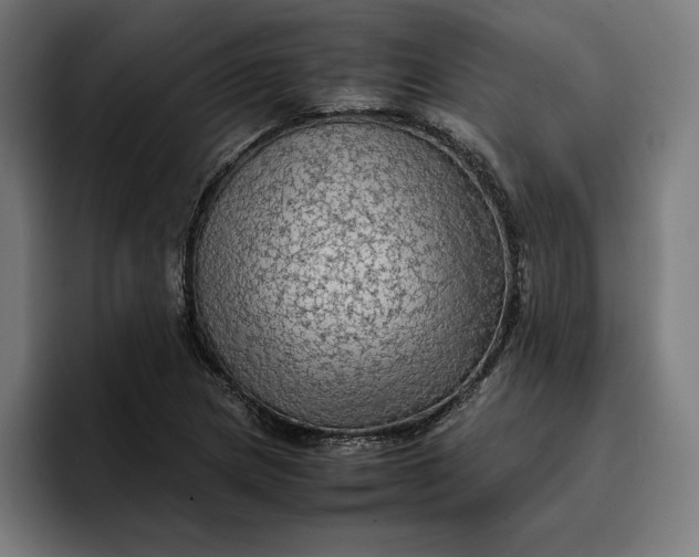 X0000096701217200802191441