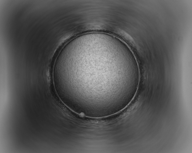 X0000096701218200802191441