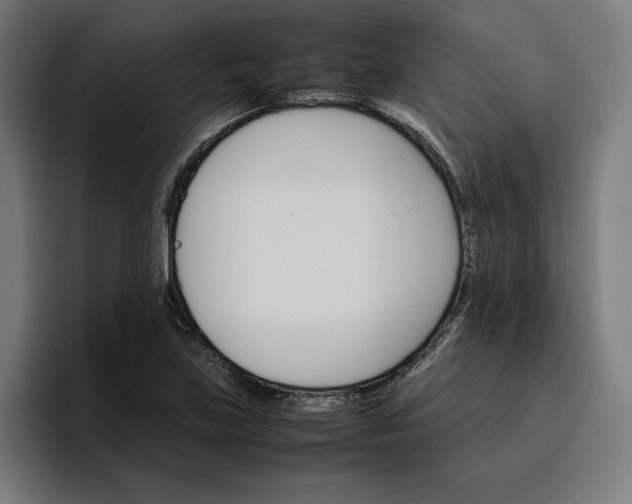 X0000096701219200802191441