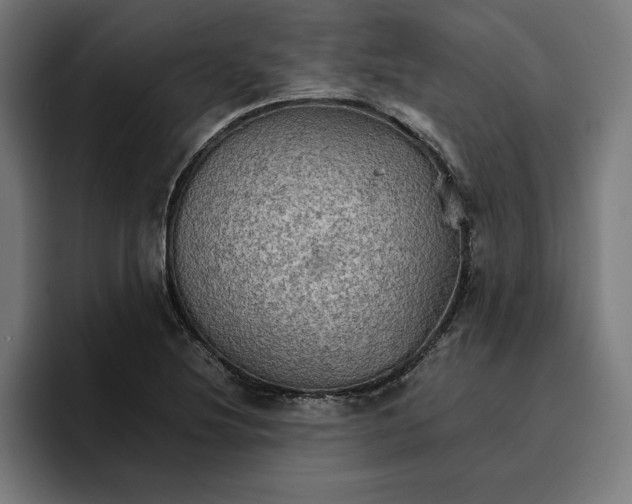 X0000096701220200802191441