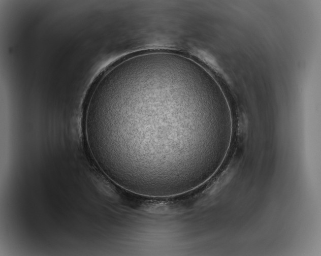 X0000096701222200802191441