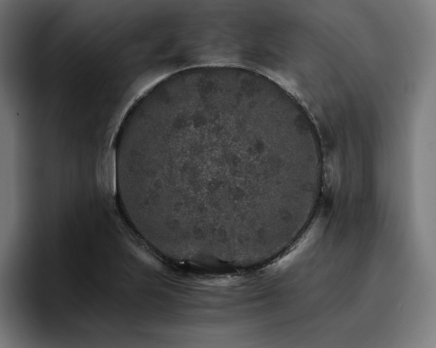 X0000096701223200802191441