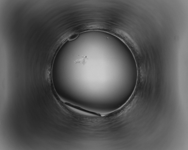 X0000096701225200802191441