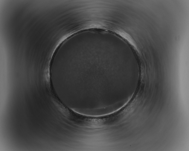 X0000096701226200802191441