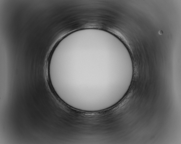 X0000096701227200802191441