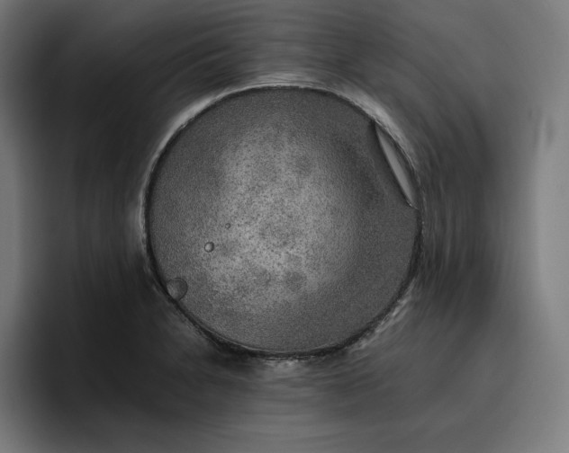 X0000096701230200802191442