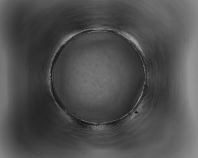 X0000096701231200802191442
