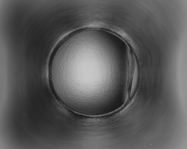 X0000096701232200802191442